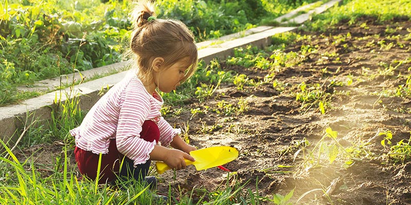 Young toddler digging in the garden.